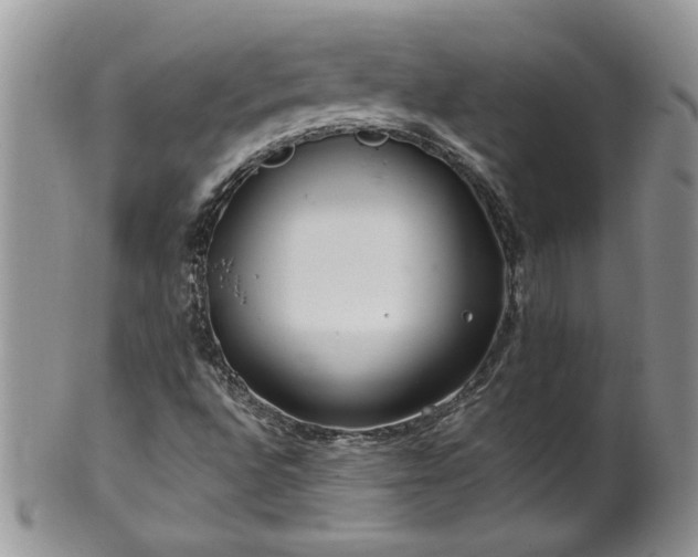 X0000100401496200806131002