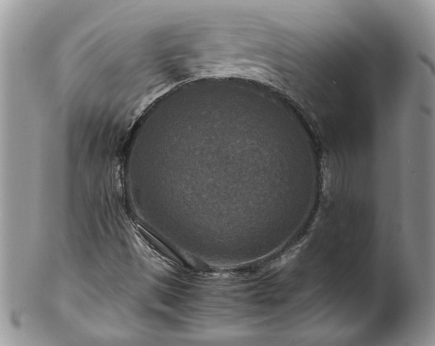X0000100401497200806131002