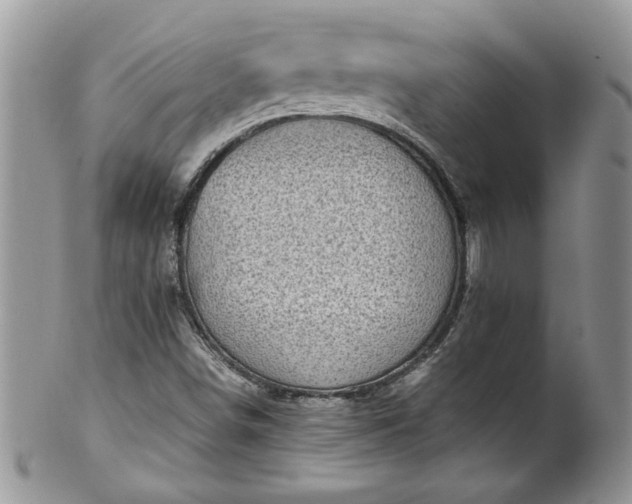 X0000100401498200806131002