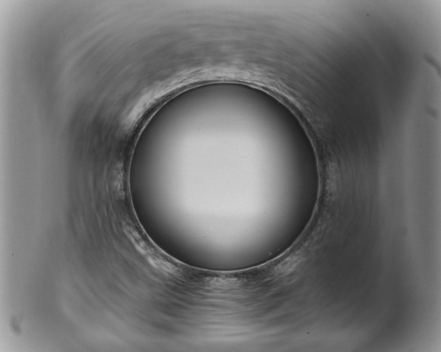 X0000100401499200806131002