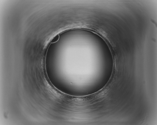 X0000100401500200806131002