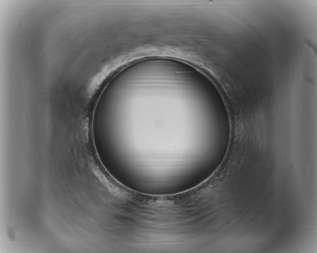 X0000100401503200806131002