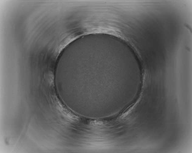 X0000100401505200806131002