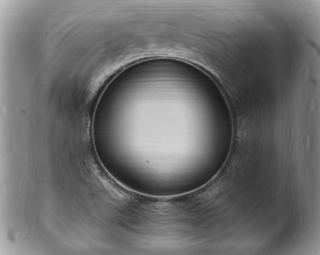 X0000100401507200806131002