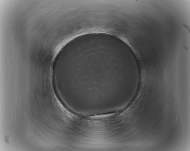 X0000100401508200806131002