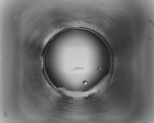 X0000100401509200806131002