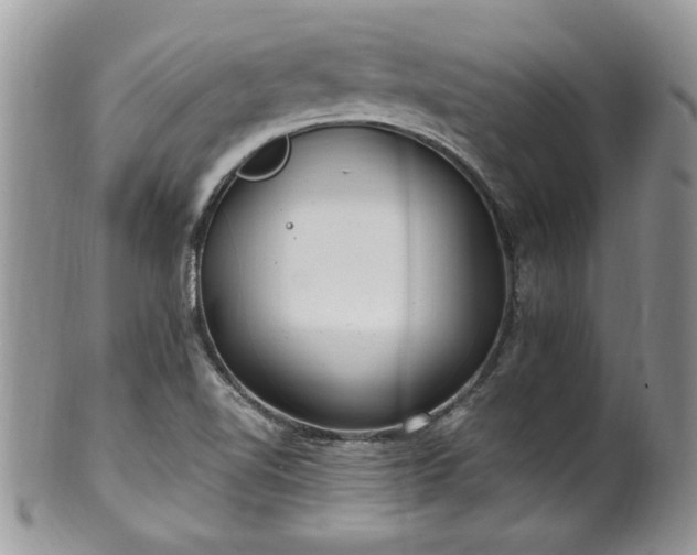 X0000100401510200806131002