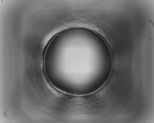 X0000100401511200806131002