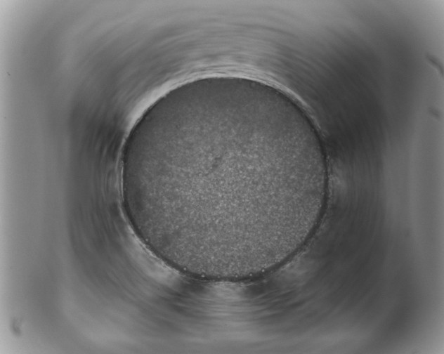 X0000100401514200806131002