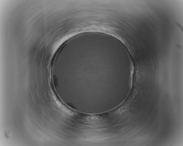X0000100401515200806131002