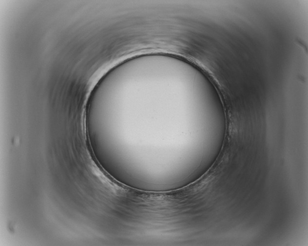 X0000100401516200806131002