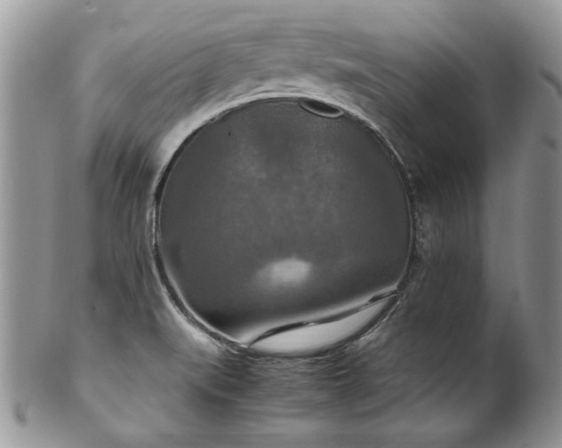 X0000100401519200806131002
