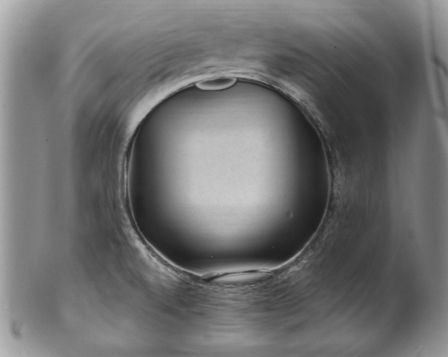X0000100401520200806131002