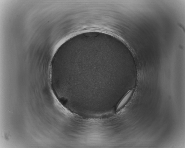 X0000100401522200806131002