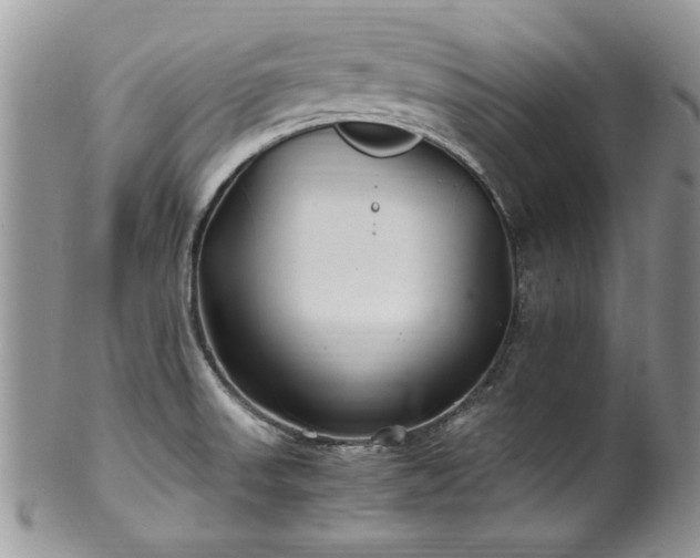 X0000100401523200806131002
