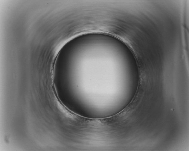 X0000100401524200806131002