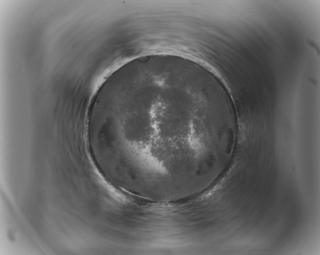 X0000100401525200806131002