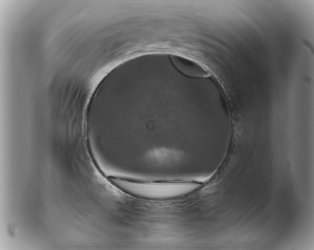X0000100401527200806131002