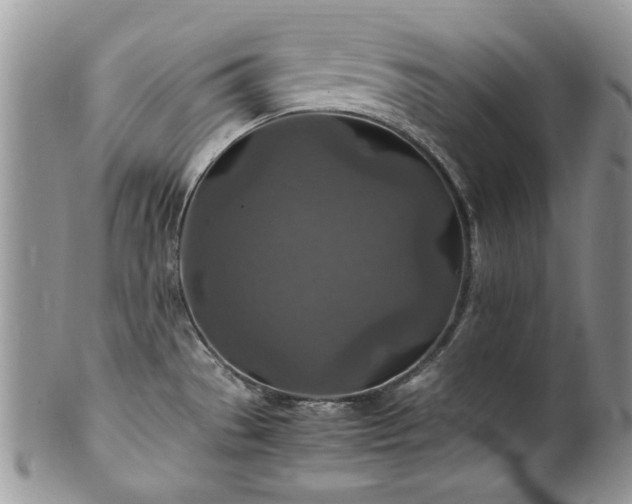 X0000100401529200806131003