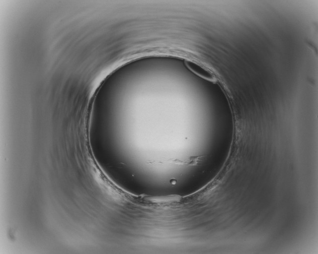 X0000100401530200806131003