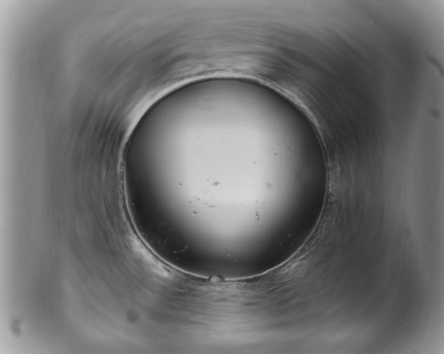 X0000100401532200806131003