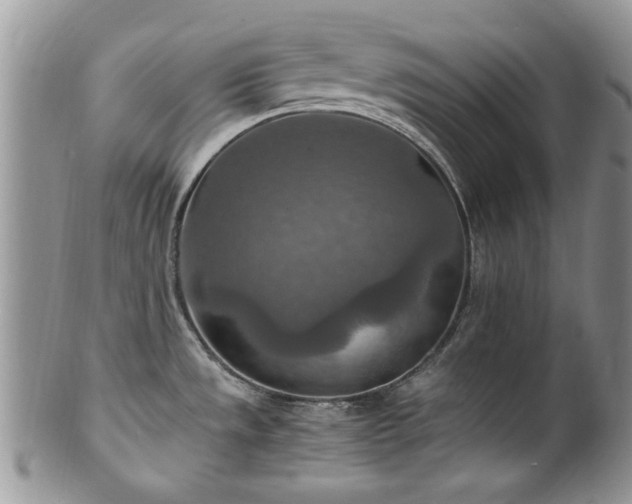 X0000100401533200806131003