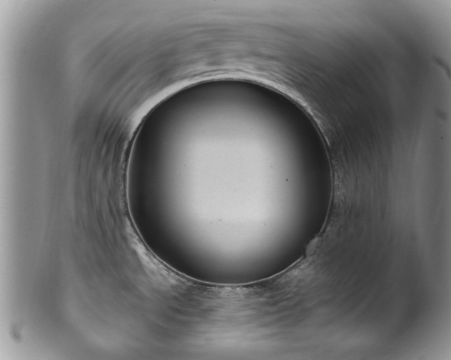 X0000100401534200806131003