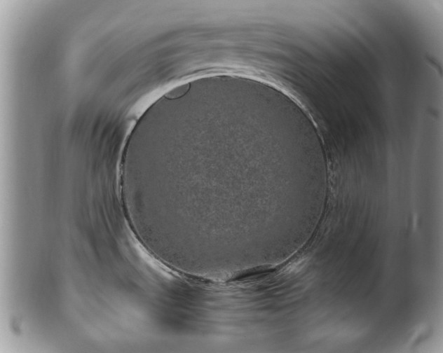 X0000100401535200806131003