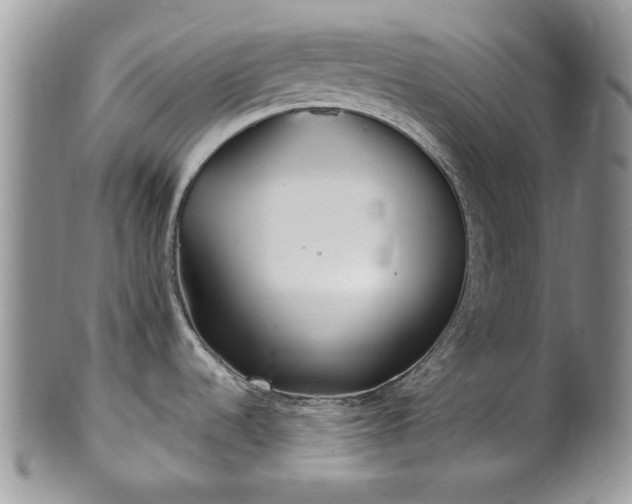 X0000100401536200806131003