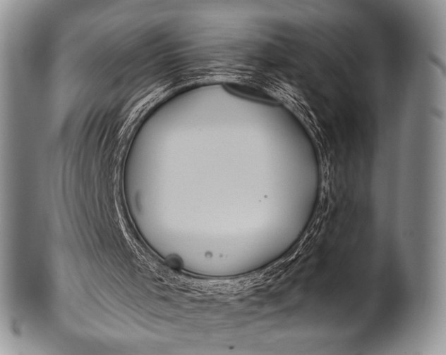 X0000100400001200806201746