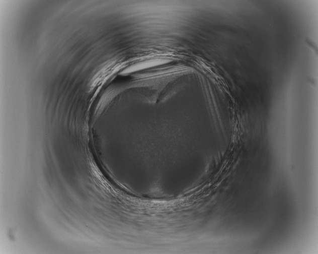 X0000100400002200806201746