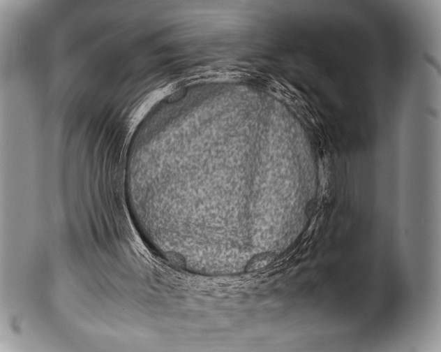 X0000100400003200806201746