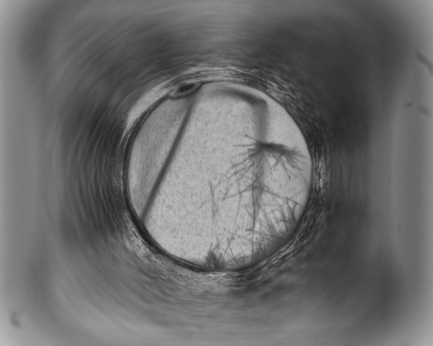 X0000100400004200806201746