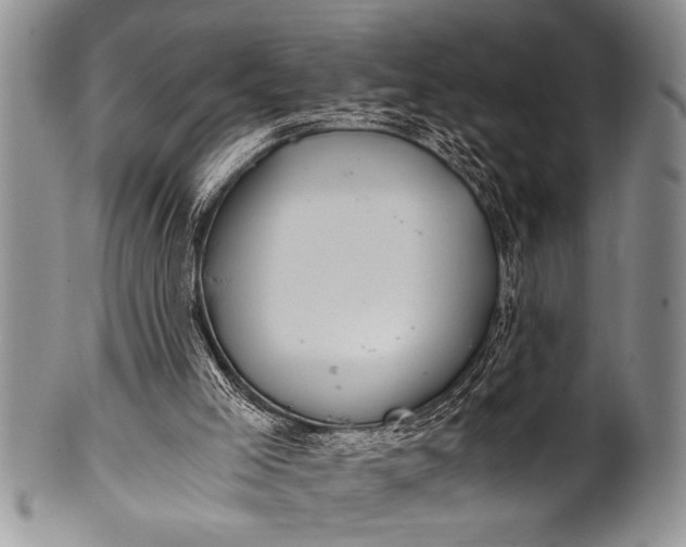 X0000100400005200806201746