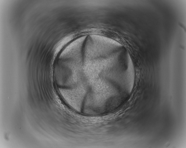 X0000100400006200806201746