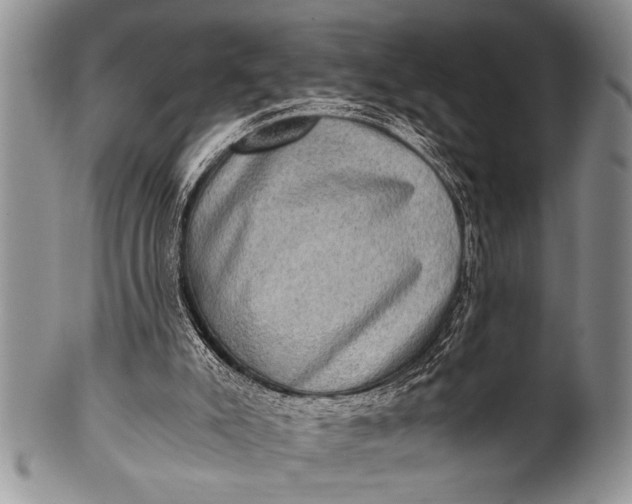X0000100400007200806201746