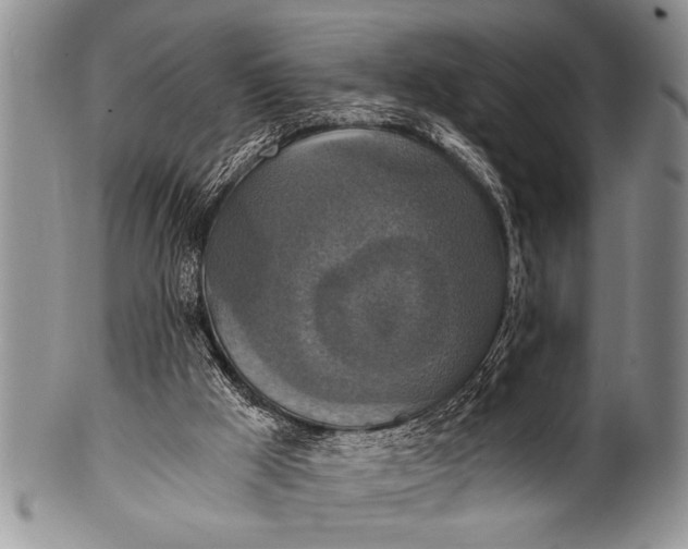 X0000100400009200806201746