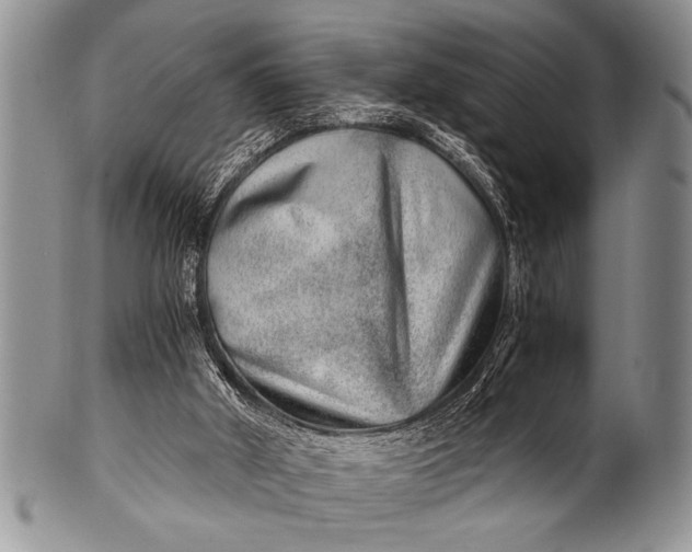 X0000100400010200806201746