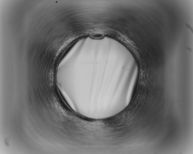 X0000100400012200806201746