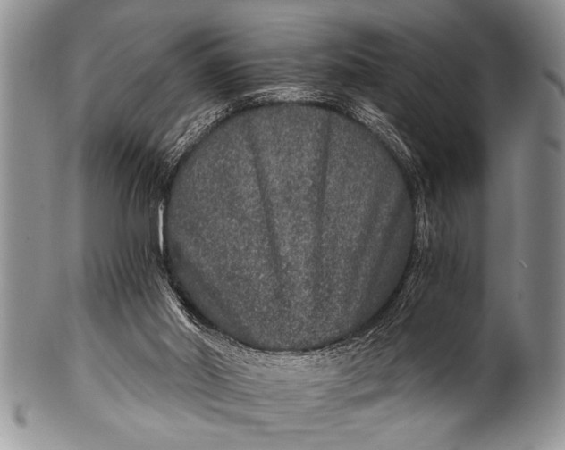 X0000100400014200806201746