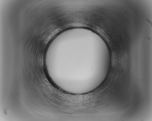 X0000100400015200806201746