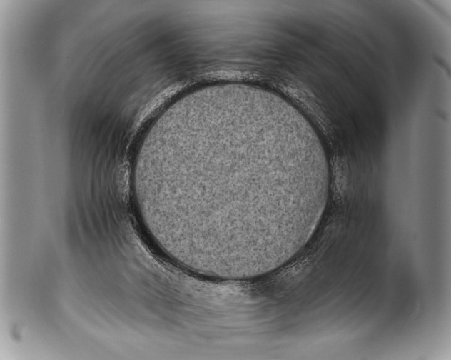 X0000100400016200806201746