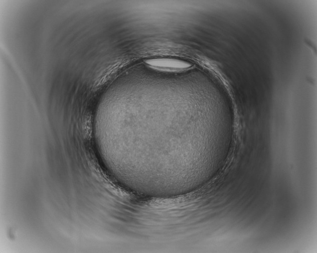 X0000100400017200806201746