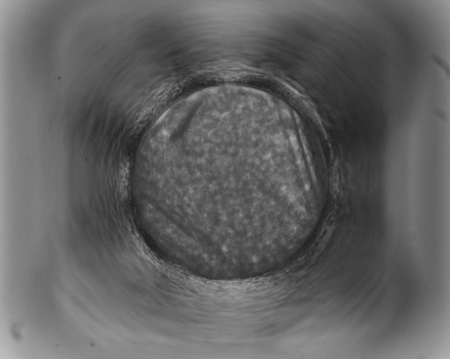 X0000100400018200806201746
