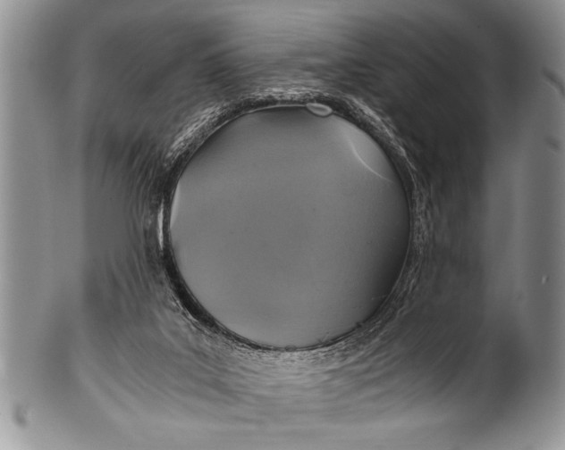 X0000100400019200806201746