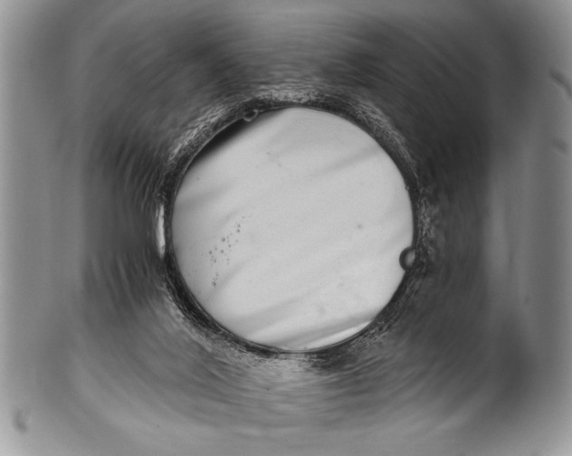 X0000100400020200806201746