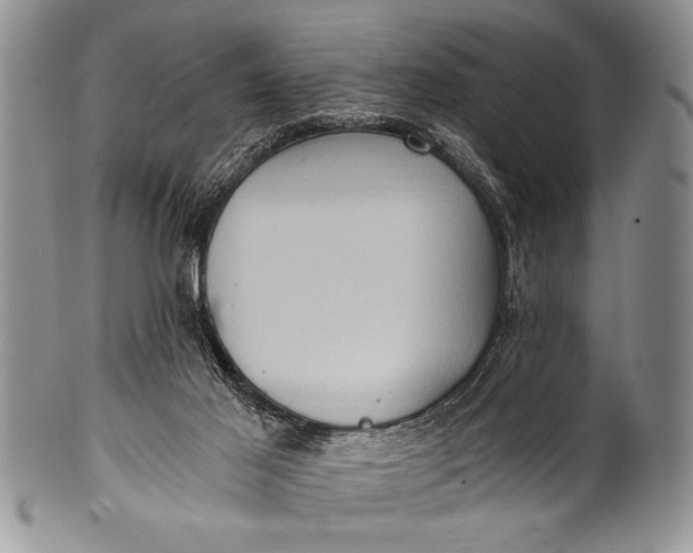 X0000100400021200806201746