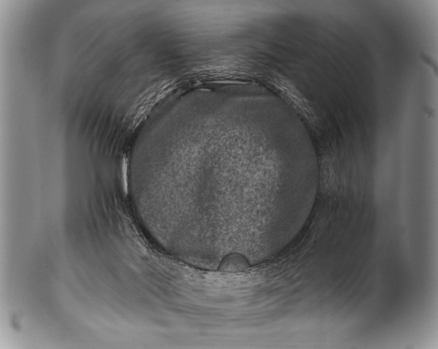 X0000100400022200806201746