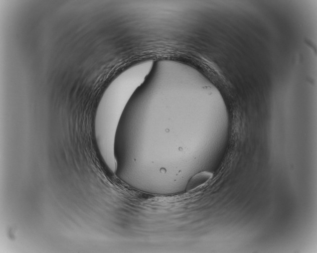 X0000100400025200806201746