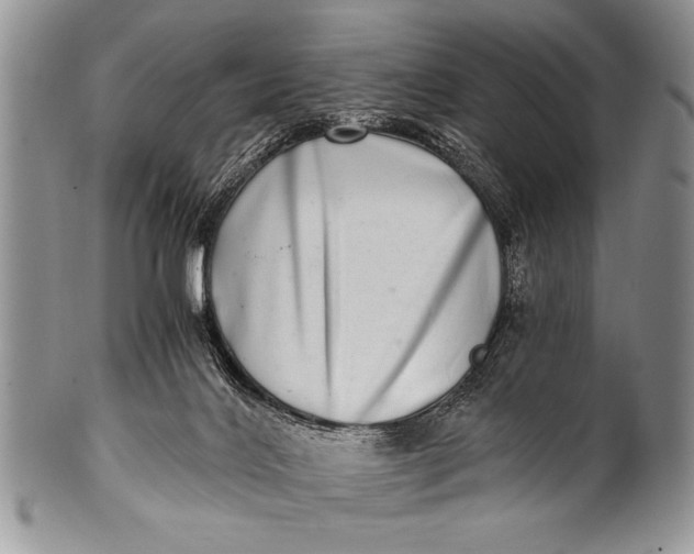 X0000100400028200806201746